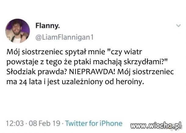 "Moj siostrzeniec spytał mnie..."