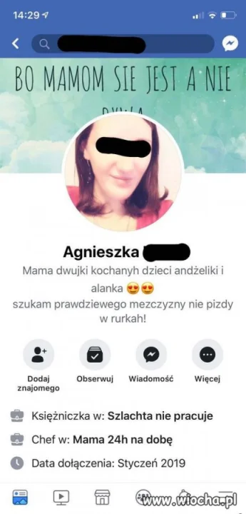 Szuka frajera