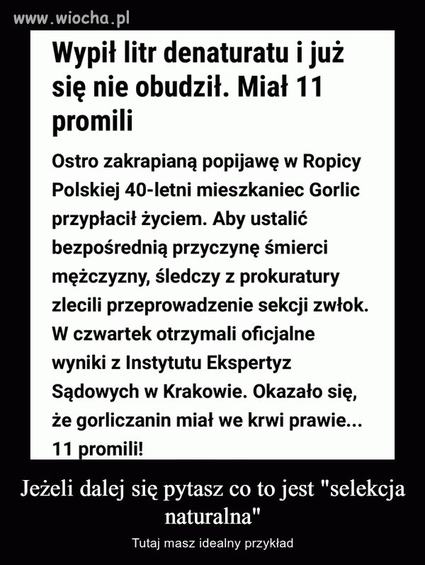 Polak potrafi