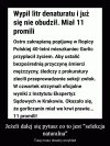 Polak potrafi