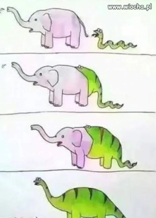 Może o te dinozaury chodziło? 