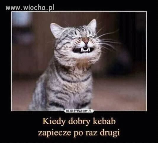 Znamy