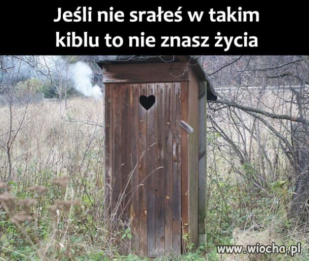 Wychodek