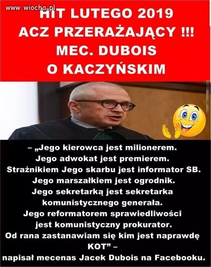 Kim jest kot ?
