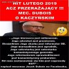 Kim jest kot ?