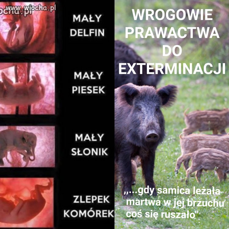 Chcieliście polemiki to ją macie