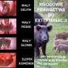 Chcieliście polemiki to ją macie