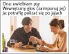 Może czasami 