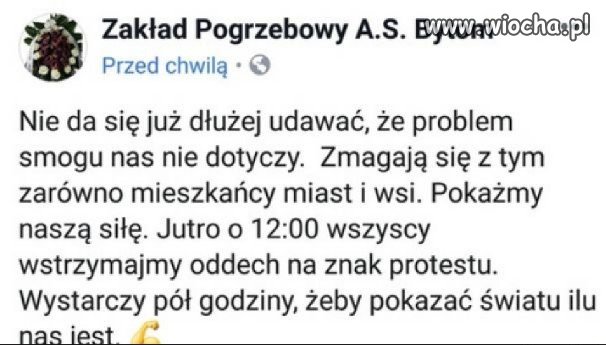 Problem smogu