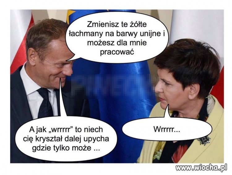 Propozycja