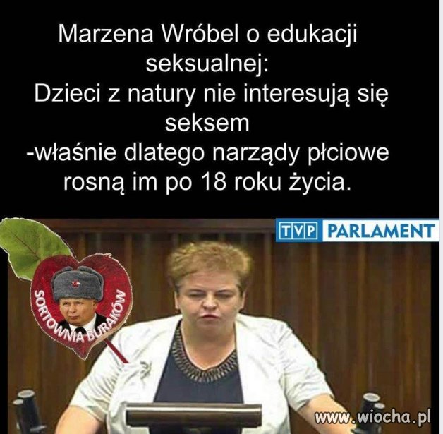 Pis,solidarna,kukiz