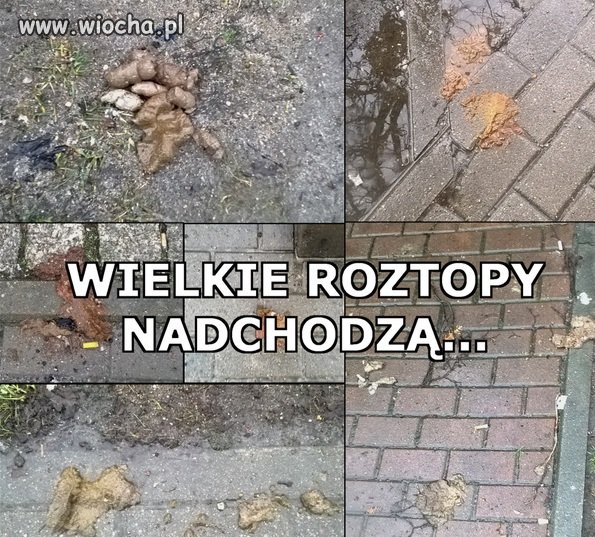 I tak jest co rok...