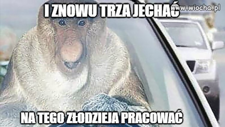 Życie