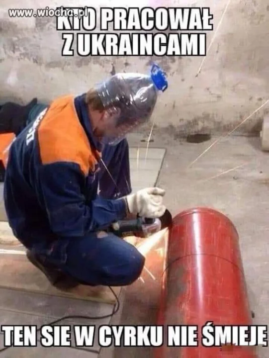 Wschodnia siła robocza 