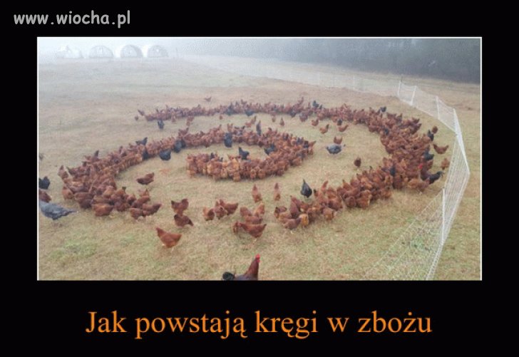 I zagadka rozwiązana