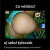 Zagadka