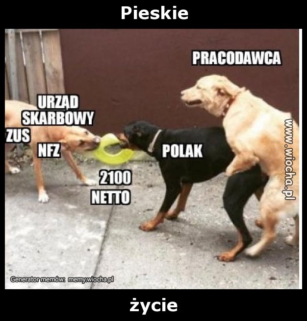 Pieskie 