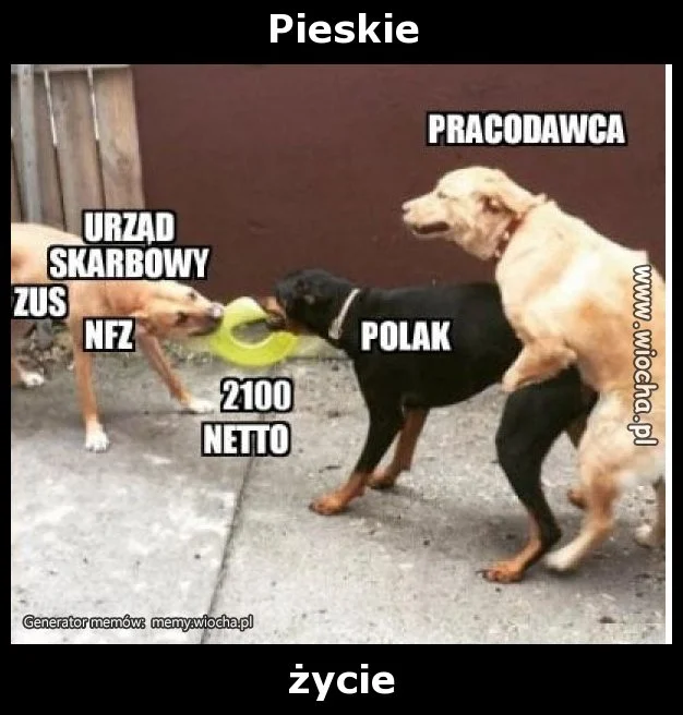 Pieskie 