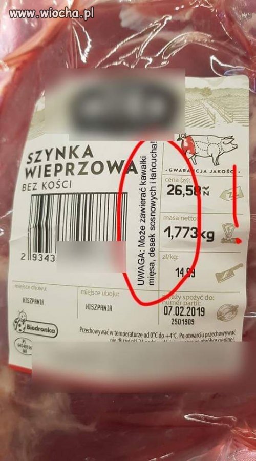 Rzeźnia czy tartak ?