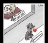 Pamiętaj - adoptuj, nie kupuj 
