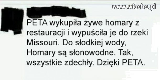 Ratowniczka owoców morza