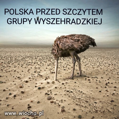 Polski rząd przed spotkaniem w Izraelu