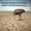 Polski rząd przed spotkaniem w Izraelu