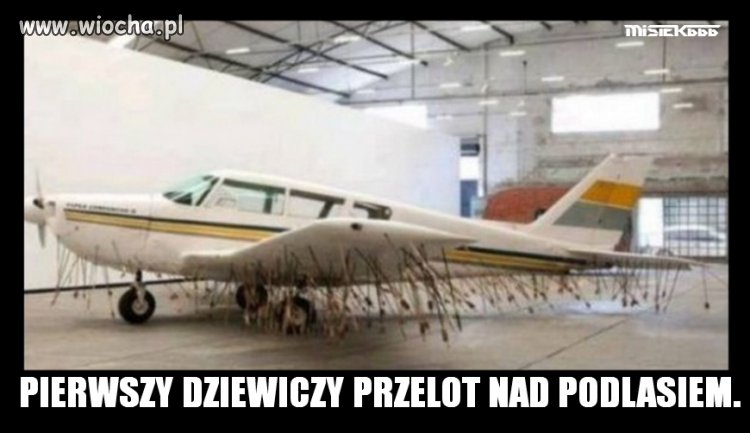 Unikatowe zdjęcie.