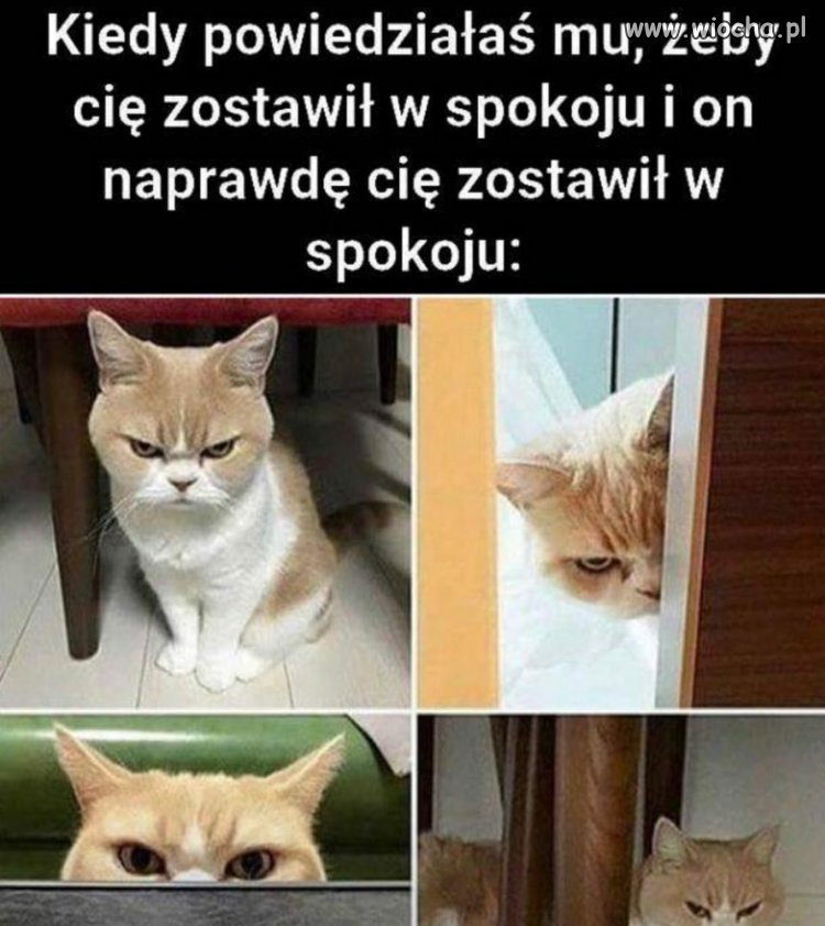 I tak czasem bywa