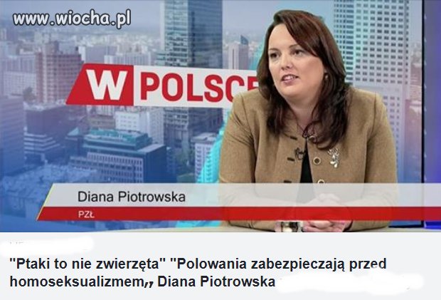 Ciekawy wątek z tym homoseksualizmem