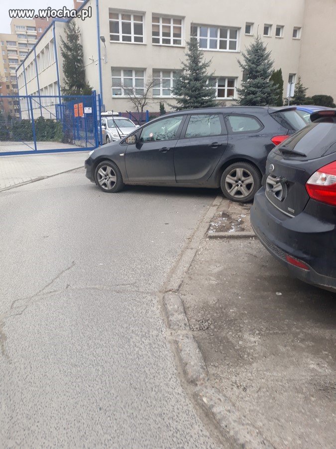 Mistrz parkowania