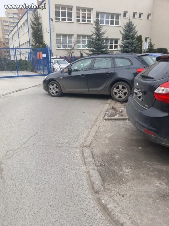 Mistrz parkowania