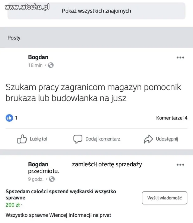 Janusz szuka pracy