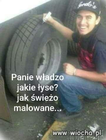 Panie władzo
