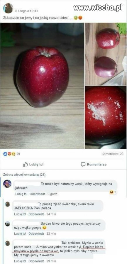 Mistrzowie