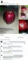 Mistrzowie