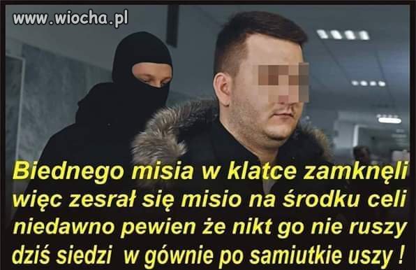 Misiu