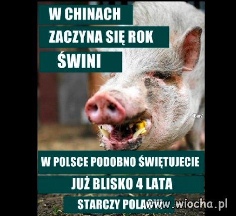 Starczy Polacy