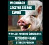 Starczy Polacy