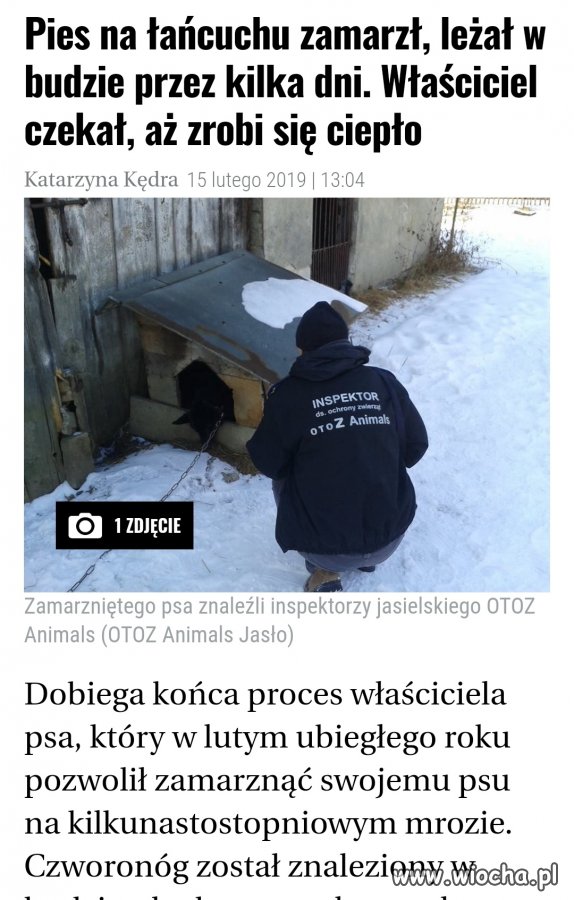 Podkarpacki katolik w typowym wydaniu