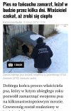Podkarpacki katolik w typowym wydaniu