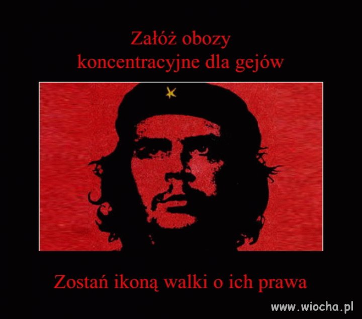Ironia losu