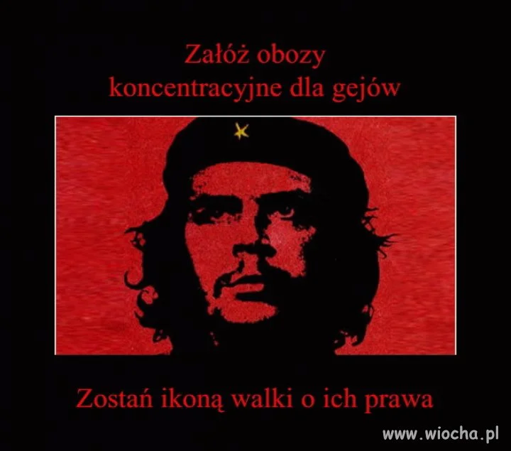 Ironia losu
