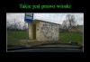 Strach się bać...