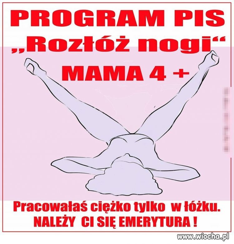 Nowy program