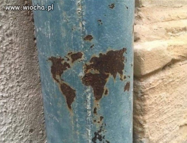 Światowa rdza