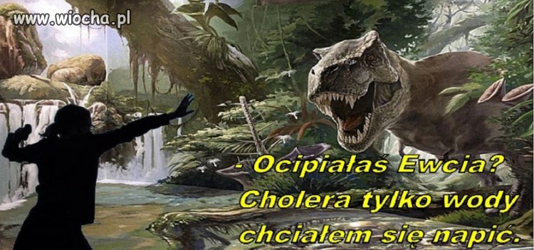 Co ta Ewcia?
