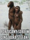 Każdy potrzebuje rozrywki