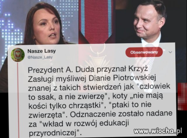 Trafił swój na swego
