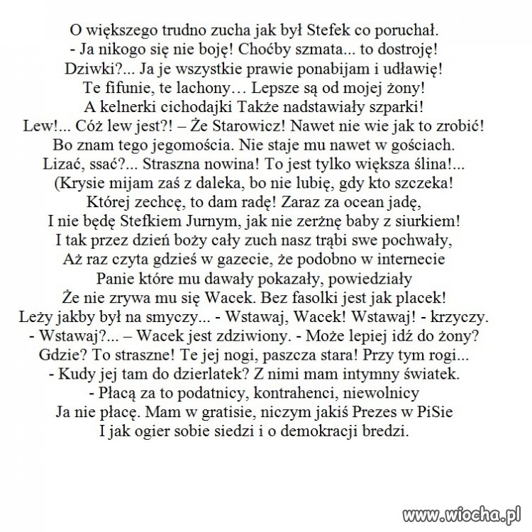 Stefek Burczy - Rucha